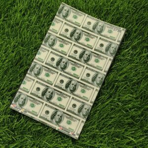 DOLLARS 3D Design Texture Skin For Realme Mobile