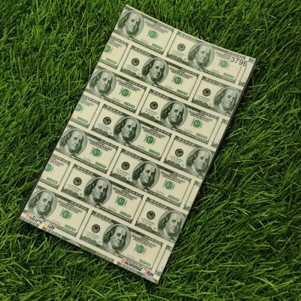 DOLLARS 3D Design Texture Skin For Samsung Mobile